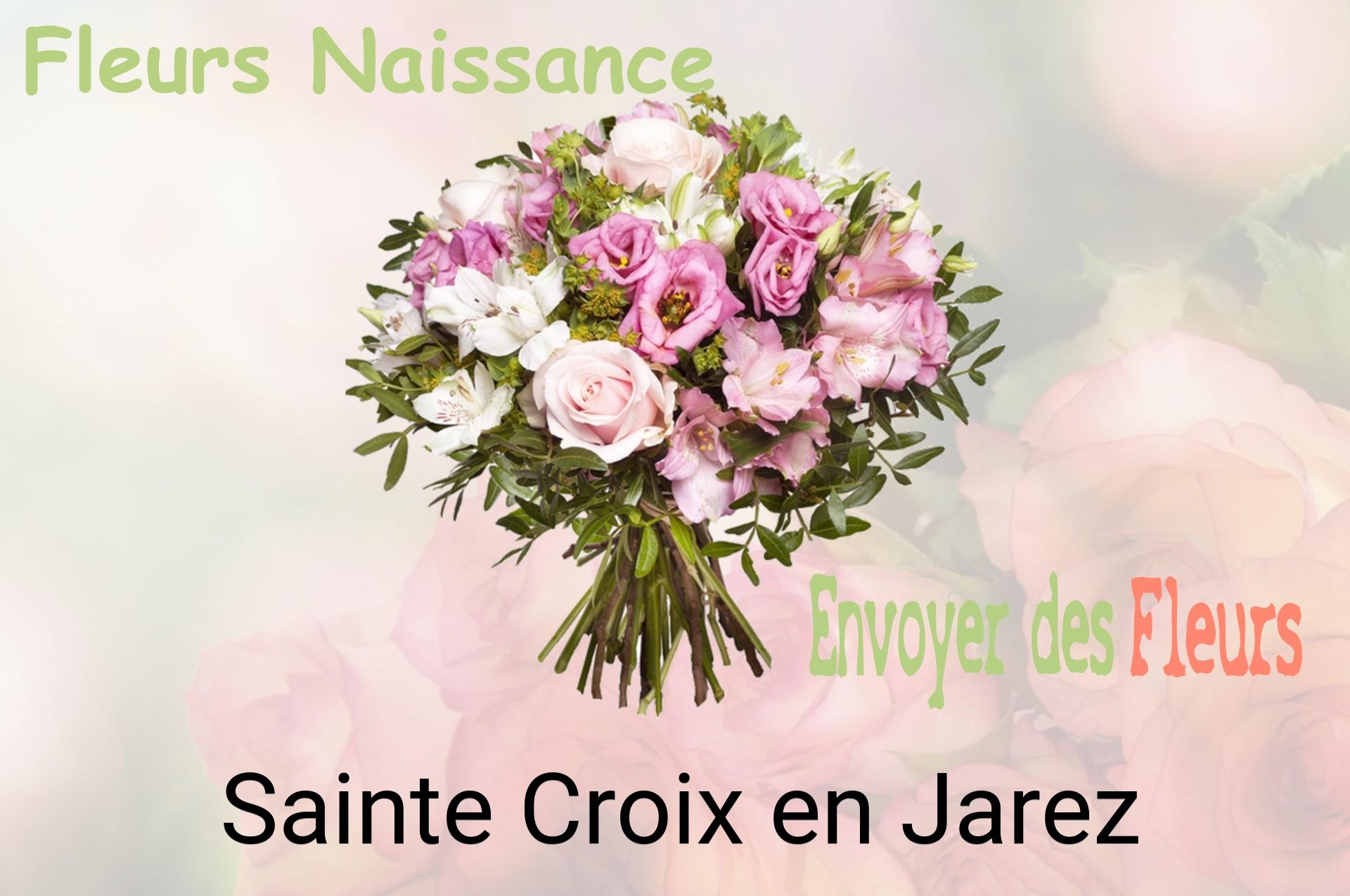 Bouquet de fleurs de naissance livré à Sainte-Croix-en-Jarez